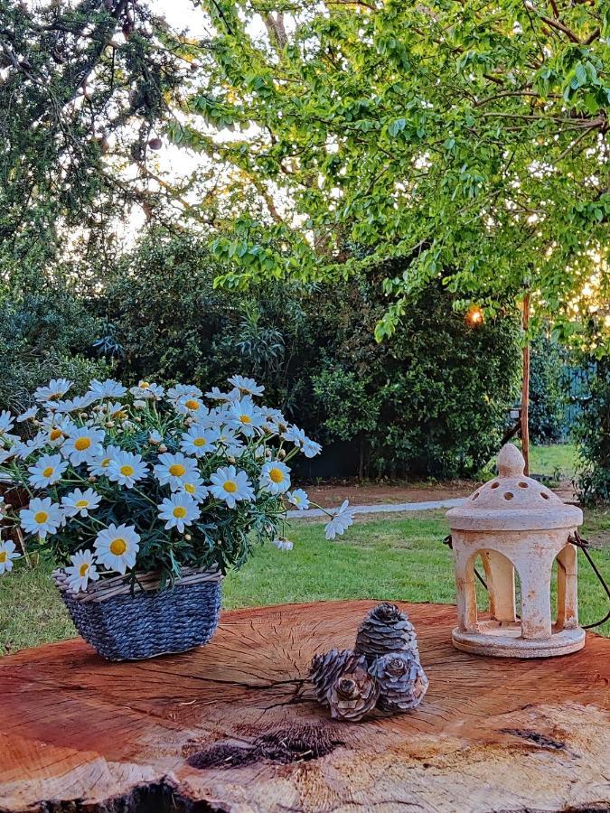 Relais Felciaino B&B Bolgheri Buitenkant foto