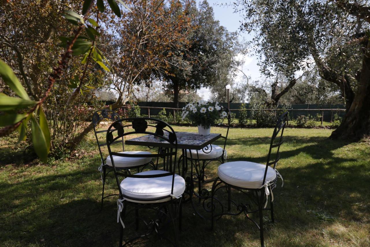 Relais Felciaino B&B Bolgheri Buitenkant foto