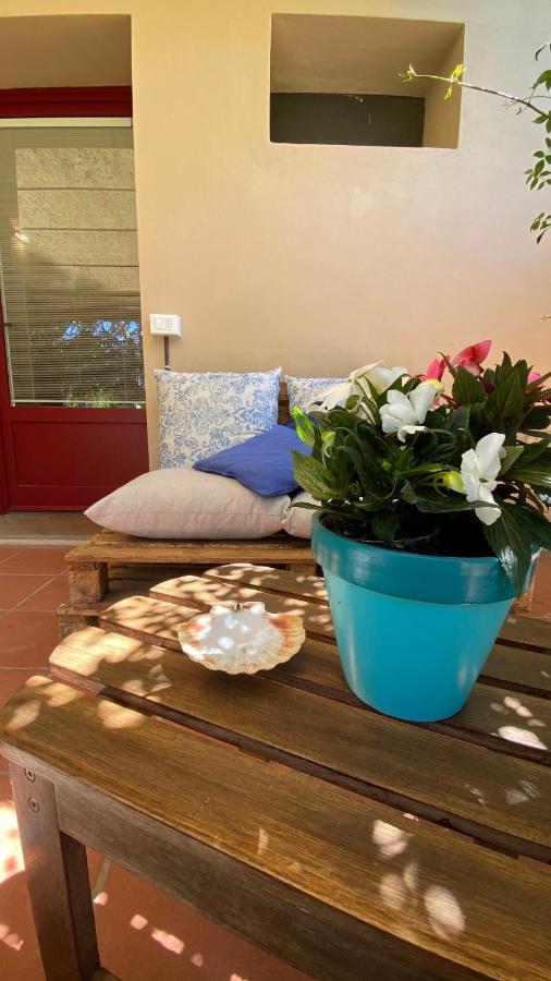 Relais Felciaino B&B Bolgheri Buitenkant foto