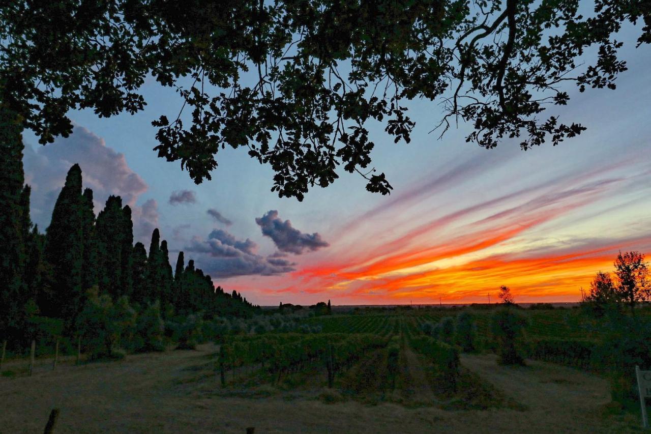 Relais Felciaino B&B Bolgheri Buitenkant foto