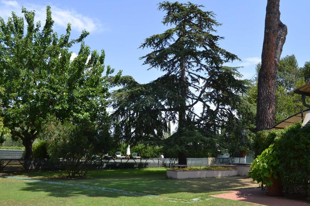 Relais Felciaino B&B Bolgheri Buitenkant foto